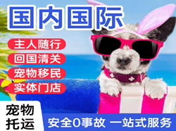 乌兰浩特机场空运国际宠物托运 【国